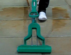 The Addis Butterfly Mop.