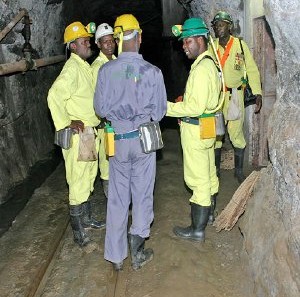 The political economy of small-scale mining in Zimbabwe