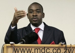 MDC-T turmoil? ... Nelson Chamisa