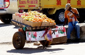 Vendor