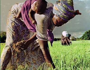 Small towns in Zimbabwe are booming thanks to land reform