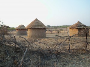 grass huts
