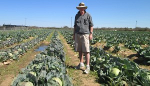 David Connolly. . . . Ray Ndhlukula has targeted his Centenary farm