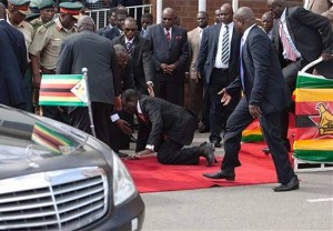 Mugabe-550
