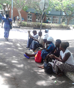 No Christmas cheer, yet ... Some of the affected pensioners sit under a tree in Harare