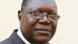 His intervention sought ... Mashonaland East provincial affairs minister Ambrose Mutinhiri