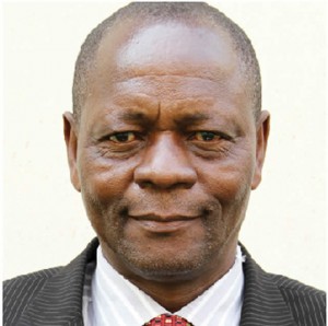 Not happy with Gwanda DA ... Rural development minister Abedinico Ncube