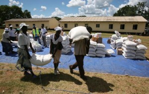 Zanu PF supporters collect bags of maize at Chikwekwete Primary School.