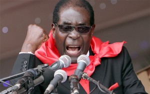 Wait for congress ... President Robert Mugabe