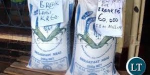 zambia mealie meal