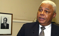 Mujuru can turn Zimbabwe around ... Ambassador Charles Ray