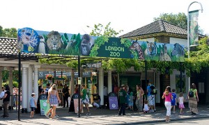 London-Zoo