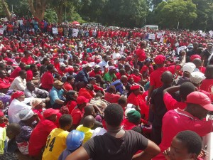 mdc demo