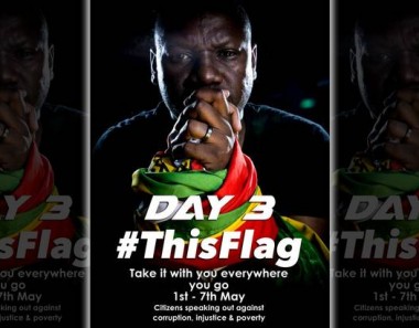 The simple genius of Zimbabwe’s #ThisFlag protest, and the man who started it