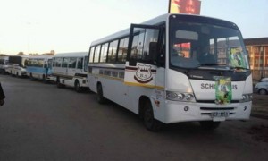 Forced ... Some of the school buses used during the march