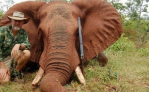 Robert Borsak poses with an elephant
