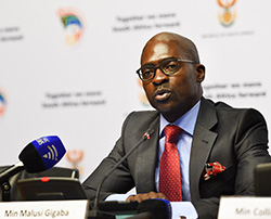 South Africa Home Affairs Minister Malusi Gigaba