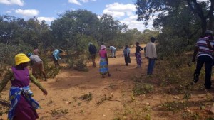 Isolezwe peace club members take part in the ilima.