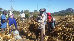 Village head Jeturo poses for a photo during the nhimbe