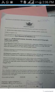 mawarire charge sheet