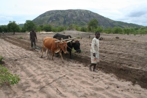 farming.