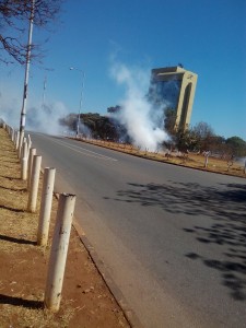 nera demo2