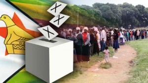 zim-vote2