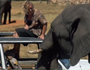 Sharon hanging out with the elephant she named Misty. (Photo courtesy of Mark Stratton).