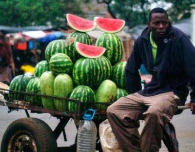‘No place to sell’: thousands hit in Zimbabwe clampdown on street vendors