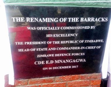 WATCH: Zim army boss summoned by ‘sharp-eyed’ new president Mnangagwa over spelling error
