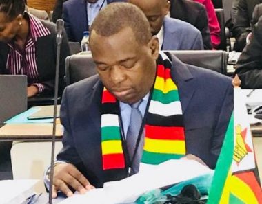 Zimbabwe minister vows upcoming elections will be free and fair