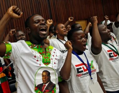 Zimbabwe Youths Complete Mugabe’s Fall, Denouncing Him at ZANU-PF Meeting