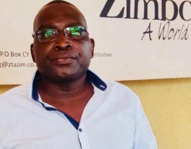 Zimbabweans in the diaspora will vote, but just not now
