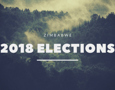 Aspiring legislator seeks to bar chief from contesting elections on Zanu PF ticket