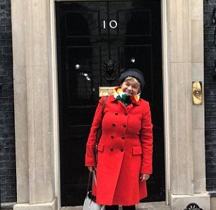 UK ambassador Zimbabwe sparks controversy wearing trademark scarf President Mnangagwa