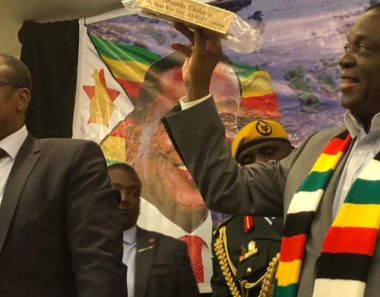 Zimbabwean Gives Govt 14 Days to Drop ‘Unconstitutional’ Money Transfer Tax