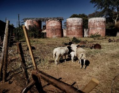 Zimbabwe leader says compensation only for elderly white farmers