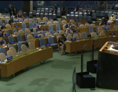 The world is not impressed by the delusions of grandeur of Zanu(PF) leaders