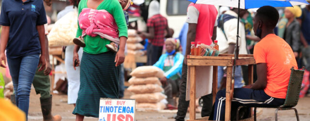 CHRA implores govt to ensure restoration of basic public services in Harare