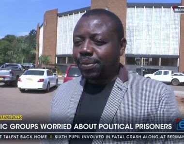 Zimbabwe Elections | Zimbabwe Civic groups worried about political prisoners