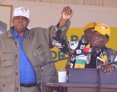 Former VP Mphoko makes surprise appearance at Zanu PF rally