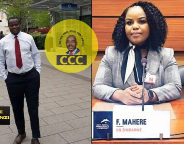 Former Tajamuka Leader Promise Mkwananzi Appointed As CCC National Spokesperson