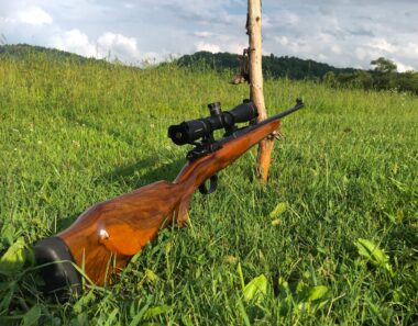 Cleveland Shooting Range shut as soldiers deface Mnangagwa posters