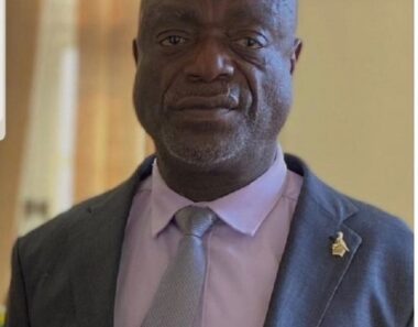 Mnangagwa ally describes Hopewell Chin’ono’s posts as ‘a threat to national security’