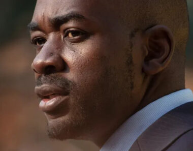 Jameson Timba, Chibaya Fight Over Chamisa’s Blue Movement | Report