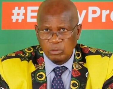 Chinamasa Insults Zambian President And Nevers Mumba