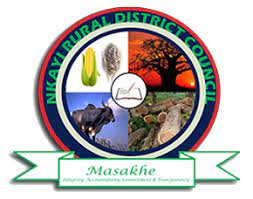 Senior council employees accused of rigging election in Nkayi