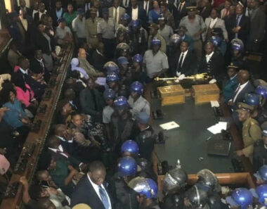 Zanu-PF’s repressive tactics on full display as police attack CCC MPs
