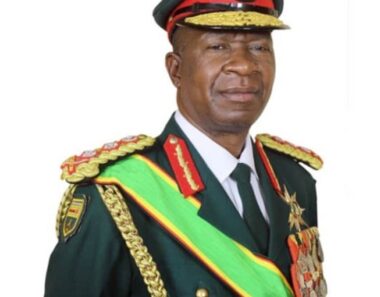 ZLHR acts on constitutional delinquency as Mnangagwa rescinds Sibanda’s appointment into a Zanu PF politburo