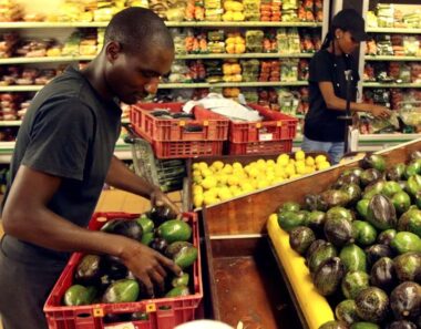 Zimbabwe horticulture sees green shoots, targets $1 bln exports